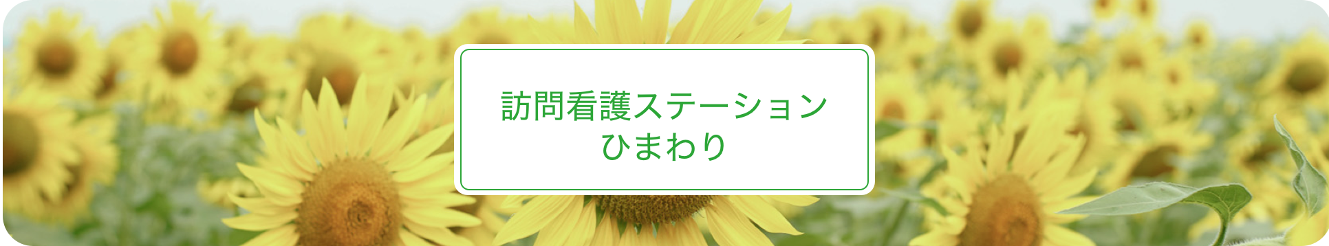訪問看護ステーションひまわりメイン